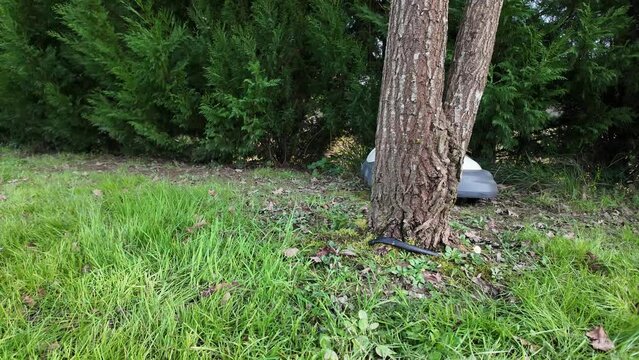 Robot tondeuse qui passe derri&egrave;re l'arbre