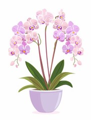 Naklejka na ściany i meble Vibrant Orchid Show: A Flatlay of Healthy Pastel Blooms Generative AI