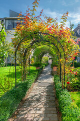 Arched entrance with roses - 739557612