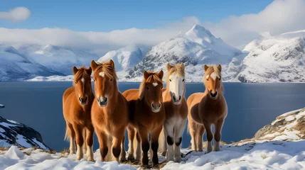 Papier Peint photo Europe du nord Tranquil Scenes - Fjord Horses Grazing Against Norwegian Landscape