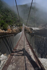 Storms River Suspension Bridge in Tsitsikamma National Park | South Africa