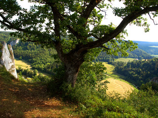Oberes Donautal bei Siegmaringen