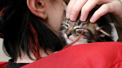 Homeless tabby cat. Girl petting a beautiful kitten sitting on her shoulder. Stroking a baby pet....