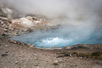 Geothermal hot spring geyser pool in Yellowstone National PArk Wyoming, USA.
