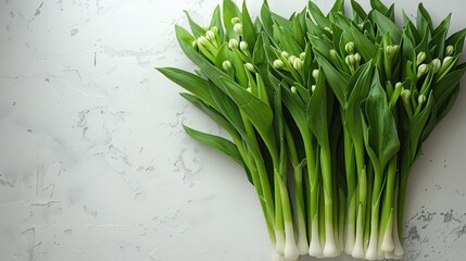 Green Onions on Kitchen Counter