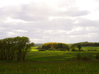 Landschaft bei Ahrensbök