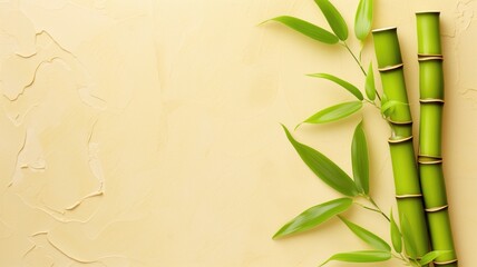Fototapeta na wymiar Green bamboo shoots on a textured yellow background
