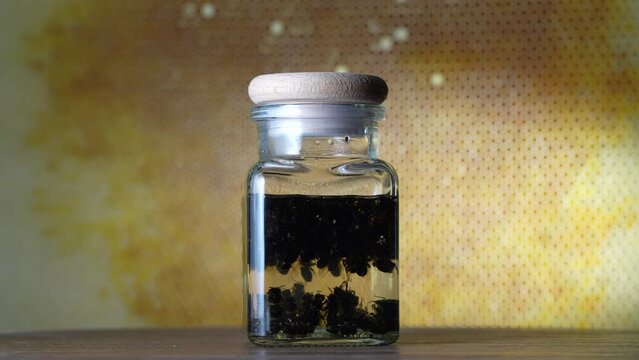 Glass bottle of tincture from dead bees in vodka on a background of honeycombs, close up, rotates. Organic phytoconcentrate tincture of bee podmore, natural beekeeping product, apitherapy