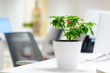 View of a comfortable workplace in a modern office