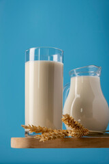 A glass of oat milk and oat flakes. The concept of alternative lactose-free dairy products.