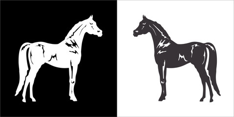 Illustration vector graphics of horse icon