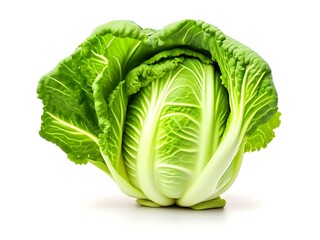 Fototapeta premium cabbage isolated on white background