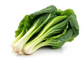 Bok Choy isolated on white background - obrazy, fototapety, plakaty