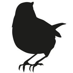 Songbird silhouette