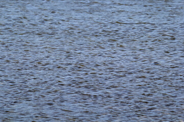 Close up view of ripples on a lake of water