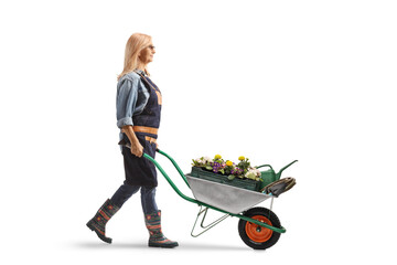 Full length profile shot of a woman gardener pushing a wheelbarrow with plants and flowers