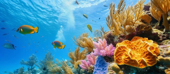 Fototapeta na wymiar Vibrant Underwater Coral Reef with Diverse Marine Life in Beautiful Colors and Shapes