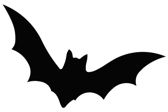 Minimalist bat in black. Horrifying illustrative image for Halloween