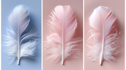 Feather Collage in Sky Blues: Daylight Hues Urban Vista Tranquility