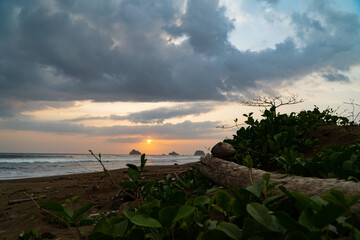 Tronco atardecer