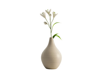 Flower vase isolated on transparent background