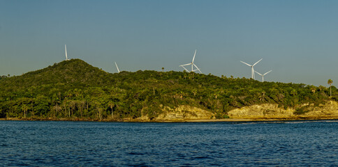 Windmills on Coast of Dominican Republic