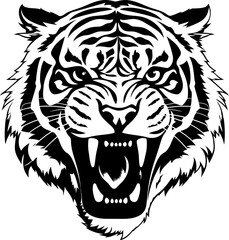 Handdrawn tiger drawing 