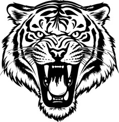 Handdrawn tiger drawing 