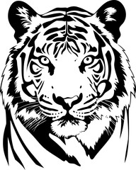 Handdrawn tiger drawing 
