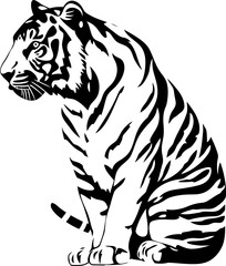 Handdrawn tiger drawing 