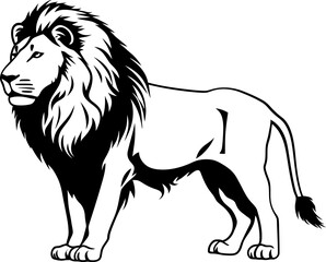 Handdrawn lion drawing 