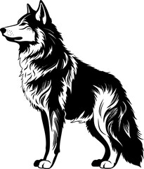 Fototapeta premium Handdrawn wolf drawing 