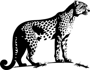 Fototapeta premium Handdrawn cheetah drawing 