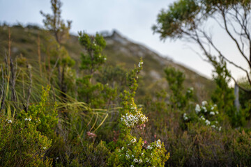 clouds over mountains over the water in a national park and beautiful rock mountain above the ocean in a national park