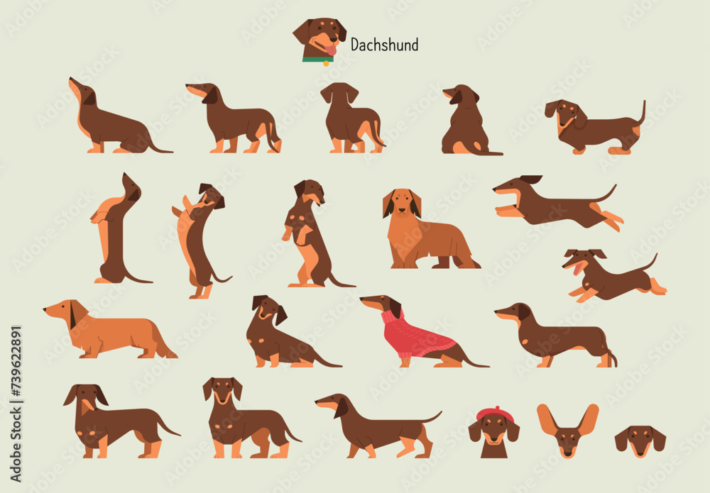 Sticker Dachshund. Behavior Bundle Set. flat vector illustration.