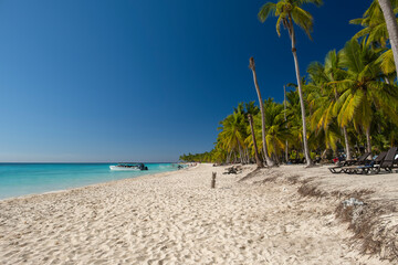 Vacation scene - strip of white sand beach, palm trees and crystal clear turquoise ocean water....