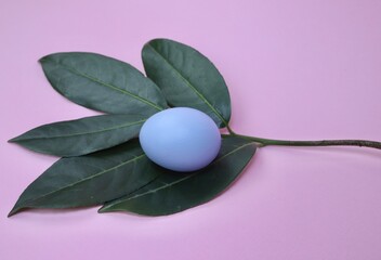 Easter Blue egg on green leaves 