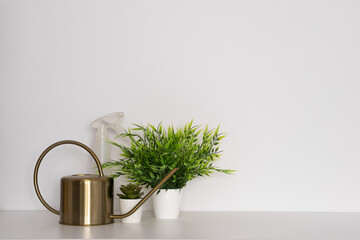  Plant and metal watering can on a white background.