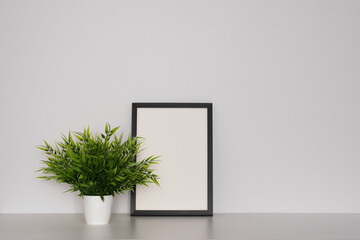 Green plant next to an empty frame on a white background. Minimalism.