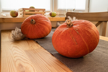  Two pumpkins on a wooden table. Seasonal decor. Harvest. Thanksgiving Day