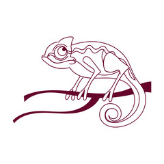 Chameleon Outline Illustration
