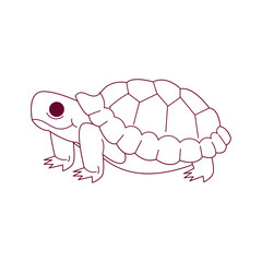 Tortoise Outline Illustration
