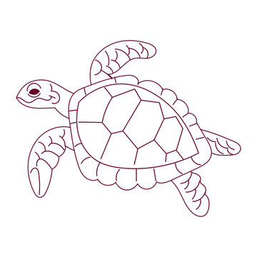 Sea Turtle Outline Illustration