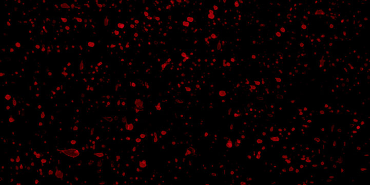 Red rose petals isolated on plain black background