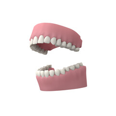 Human teeth 3D model, transparent png - 739637009