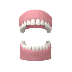 Human teeth 3D model, transparent png - 739637047