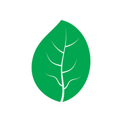 Leaf logo template is unique, attractive and simple