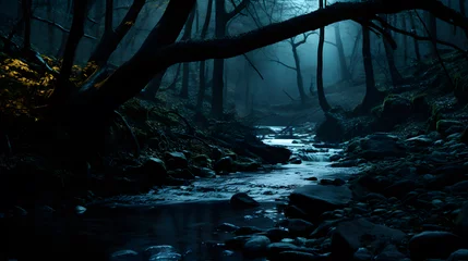 Fotobehang a river flowing through a forest at night © Oliver