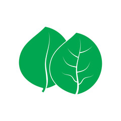 Leaf logo template is unique, attractive and simple