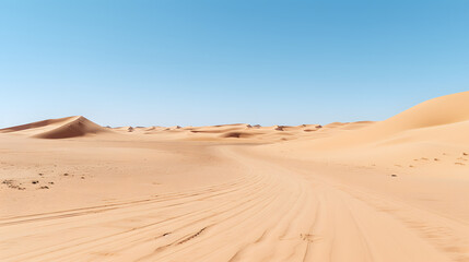 Fototapeta na wymiar the desert has some dirt and footprints in the sand